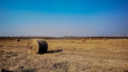 Winzinator Casino Aip Soghluaiste